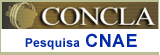 Pesquisa CNAE